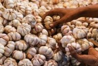 1768280763769-jelang-nataru-sejumlah-harga-komoditas-pangan-naik_43