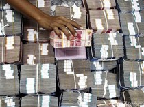 1768475156747-00d5a8dc-da3d-483a-bd2e-e78ce08f1d66_43