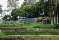 1769079927732-bri-raih-penghargaan-pada-puncak-hari-desa-nasional-2026-1769073777135_43