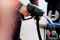 1769123114348-ebbd4d65-e9f7-40bd-ba3f-1fe30776e7e4_43