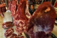 1769187971986-c51ddfbd-85d9-4455-ad60-192a816550b8_43