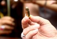 1769339136665-0e1fe123-7e0e-4e0f-b2d1-4ba4194e68f1_43